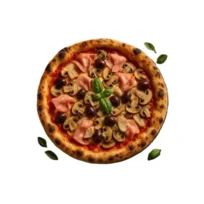Pizza Capriciosa