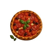 Pizza Salami